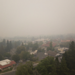 Över 8 000 svenskar per år dör till följd av dålig luft